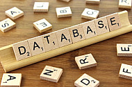 Database