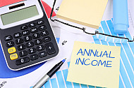 annual income