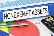 nonexempt assets