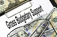 gross budgetary support