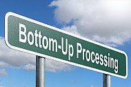 Bottom-Up Processing