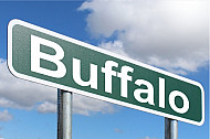 Buffalo