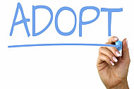 adopt