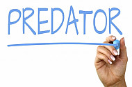 predator