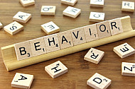 Behavior