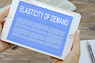 elasticity of demand