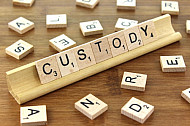 Custody