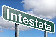 Intestata