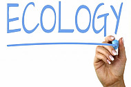 ecology