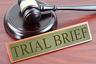 Trial Brief
