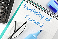 elasticity of demand