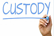 custody