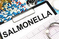salmonella