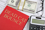 dead cat bounce