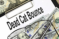 dead cat bounce