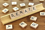 Senate