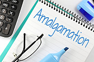 amalgamation