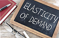 elasticity of demand 