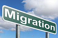 Migration