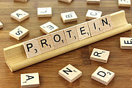 Protein