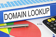 domain lookup