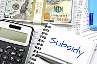 subsidy