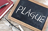 plague