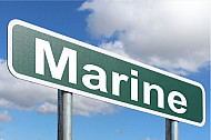 Marine