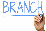branch
