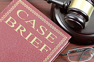 case brief