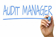 audit manager