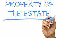 property of the estate