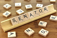 Senator