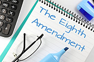 the eighth amendment