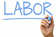 labor