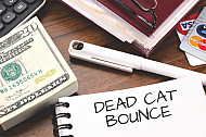 dead cat bounce