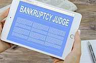 bankruptcy judge