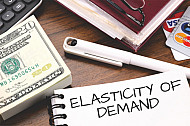 elasticity of demand