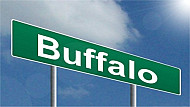 Buffalo