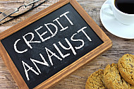 credit analyst