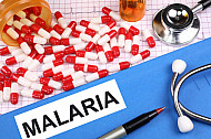 malaria