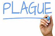 plague