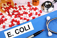e coli