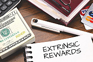 extrinsic rewards