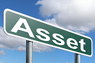 Asset