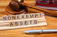 nonexempt assets