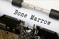 Bone Marrow