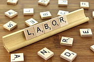 Labor