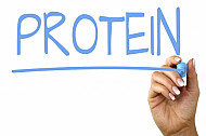 protein