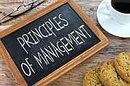principles of management